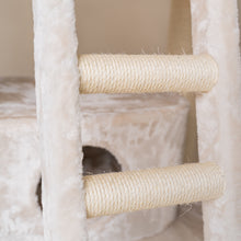 Kissapuu suurille kissoille - Panther XXL (Beige)