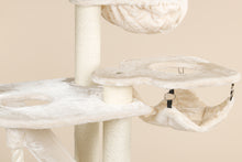 Kilimandjaro Beige Crown