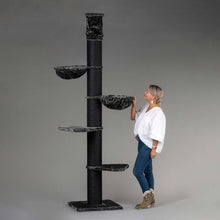 Maine Coon Tower Blackline Tummanharmaa