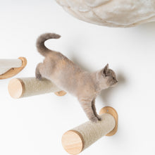 Seinäkalusteet Kiipeilyseinä Kissa - seinä Sisal tolppasarja (Beige)