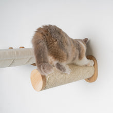 Seinäkalusteet Kiipeilyseinä Kissa - seinä Sisal tolppasarja (Beige)