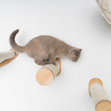 Seinäkalusteet Kiipeilyseinä Kissa - seinä Sisal tolppasarja (Beige)