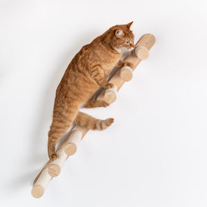 Kiipeilyseinä kissoille - kissan tikkaat 2 kpl (Beige)