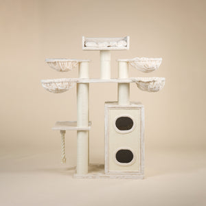 Cat Paradise Beige Plus