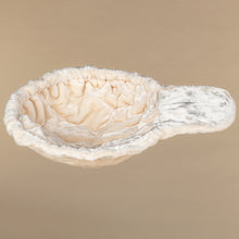 Suuri kissojen riippumatto de Luxe (12/15 cm tolpille) - Beige